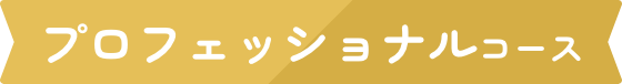 プロフェッショナルコース
