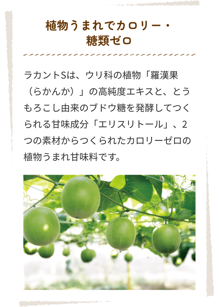 植物うまれでカロリー・糖類ゼロ ラカントは、ウリ科の植物「羅漢果（らかんか）」の高純度エキスと、とうもろこし由来のブドウ糖を発酵してつくられる甘味成分「エリスリトール」、2つの素材からつくられたカロリーゼロの植物うまれ甘味料です。